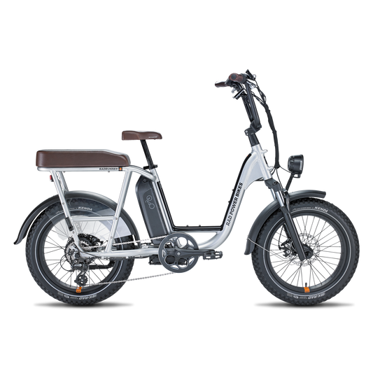 Rad Power Bikes RadRunner  Plus - 106-00007