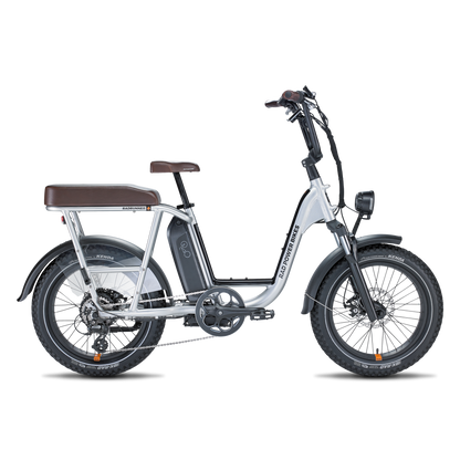 Rad Power Bikes RadRunner  Plus - 106-00007