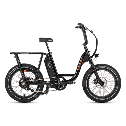 Rad Power Bikes RadRunner™ 2 Electric Utility Bike - 106-00016