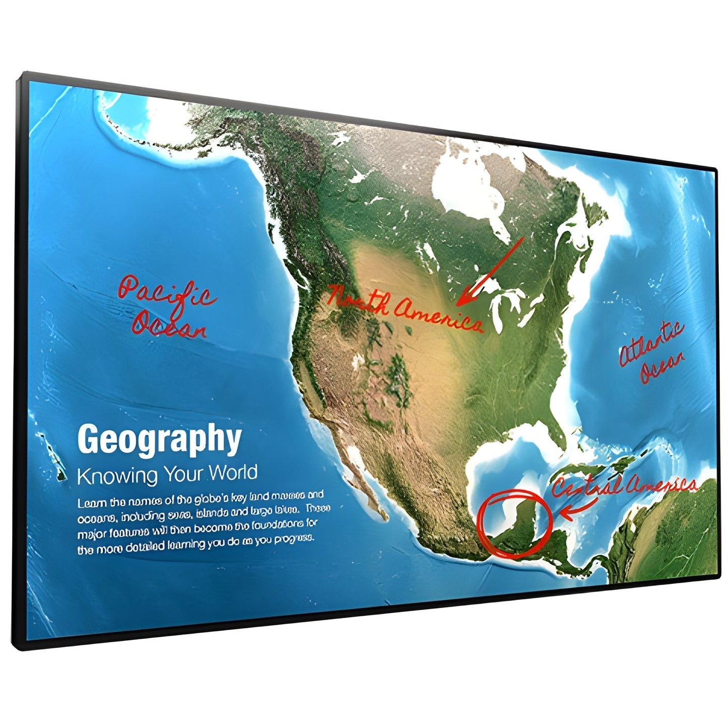 Sharp 4W-B55FT5U 55" UHD Interactive Display - 4WB55FT5U