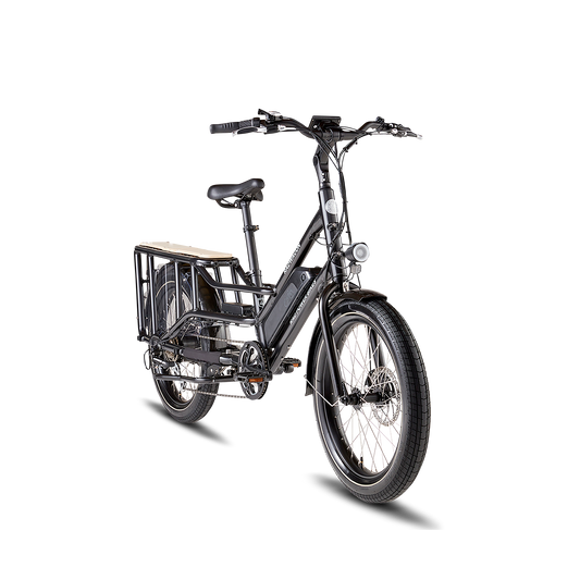 Rad Power RadWagon 4 Electric Cargo Bike, Top Speed 20mph - 102-00022