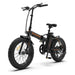 Aostirmotor A20 500W 36V Fat Tire Folding Electric Bike