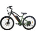 Aostirmotor A350 350W 36V Front Suspension Urban Electric Bike