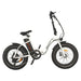 Aostirmotor G20 500W 36V Low Step Fat Tire Electric Bike