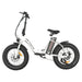 Aostirmotor G20 500W 36V Low Step Fat Tire Electric Bike