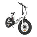 Aostirmotor G20 500W 36V Low Step Fat Tire Electric Bike