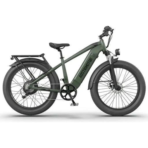 Aostirmotor King 1000W 52V All-Terrain Electric Bike