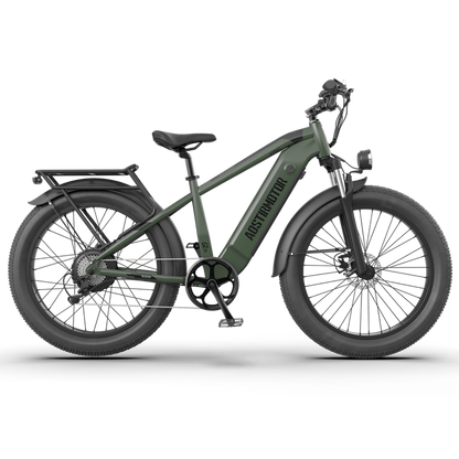 Aostirmotor KING 1000W 52V All-Terrain Fat Tire Electric Bike