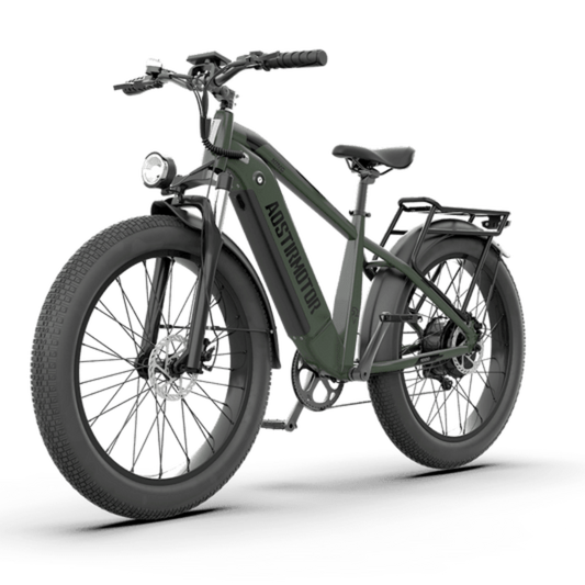 Aostirmotor KING 1000W 52V All-Terrain Fat Tire Electric Bike