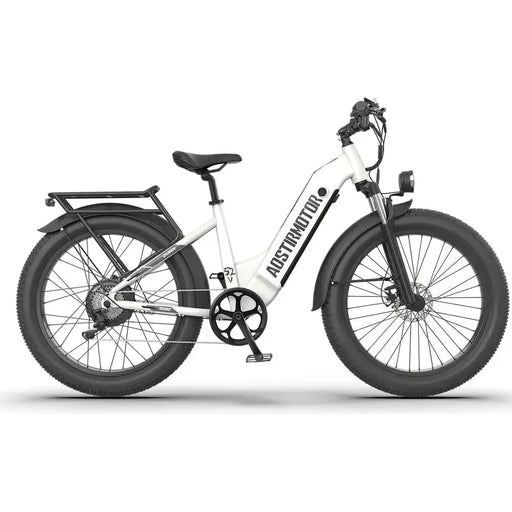 Aostirmotor Queen 1000W 52V All-Terrain Electric Bike