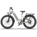 Aostirmotor Queen 1000W 52V All-Terrain Electric Bike