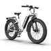 Aostirmotor Queen 1000W 52V All-Terrain Electric Bike