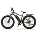 Aostirmotor S07 750W 48V Fat Tire Electric Mountain Bike