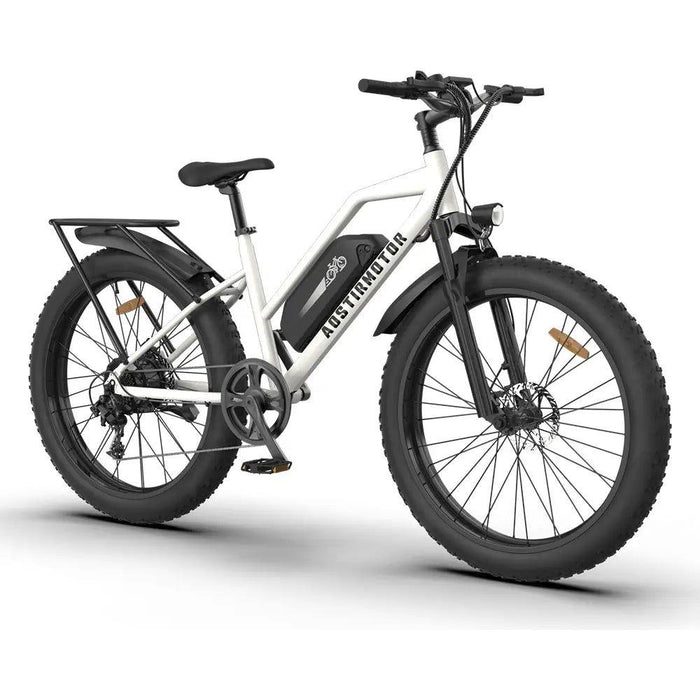 Aostirmotor S07-G 750W 48V Fat Tire Commuter Electric Bike