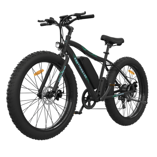 Aostirmotor S07-P 36V/13Ah 500W Fat Tire Electric Bike