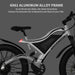 Aostirmotor S18 750W 48V Fat Tire Electric Mountain Bike