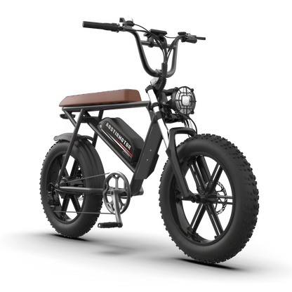 Aostirmotor Storm 750W 48V Fat Tire Electric Bike