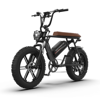 Aostirmotor Storm 750W 48V Fat Tire Electric Bike