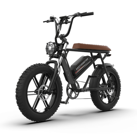 Aostirmotor Storm 750W 48V Fat Tire Electric Bike