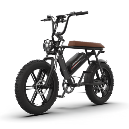 Aostirmotor Storm 750W 48V Fat Tire Electric Bike
