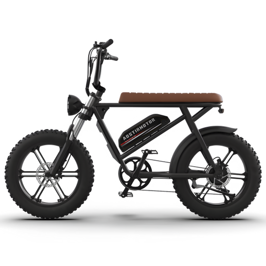 Aostirmotor Storm 750W 48V Fat Tire Electric Bike