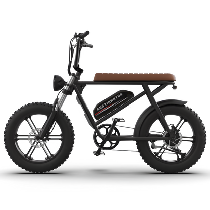Aostirmotor Storm 750W 48V Fat Tire Electric Bike
