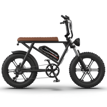 Aostirmotor Storm 750W 48V Fat Tire Electric Bike