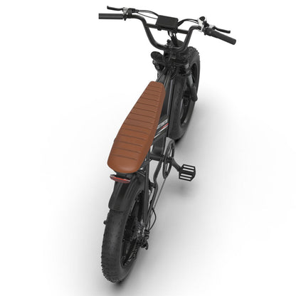 Aostirmotor Storm 750W 48V Fat Tire Electric Bike