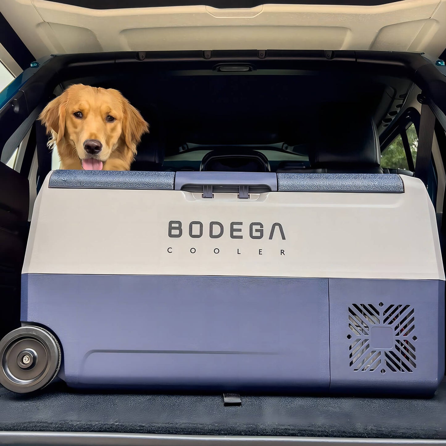 BODEGAcooler 38qt/36L T36 Dual Zone 12V Portable Car Fridge - T36+T36 Cover