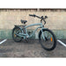 Coastal Cruiser Classic Cruiser 26x2.3 500W Electric Bike