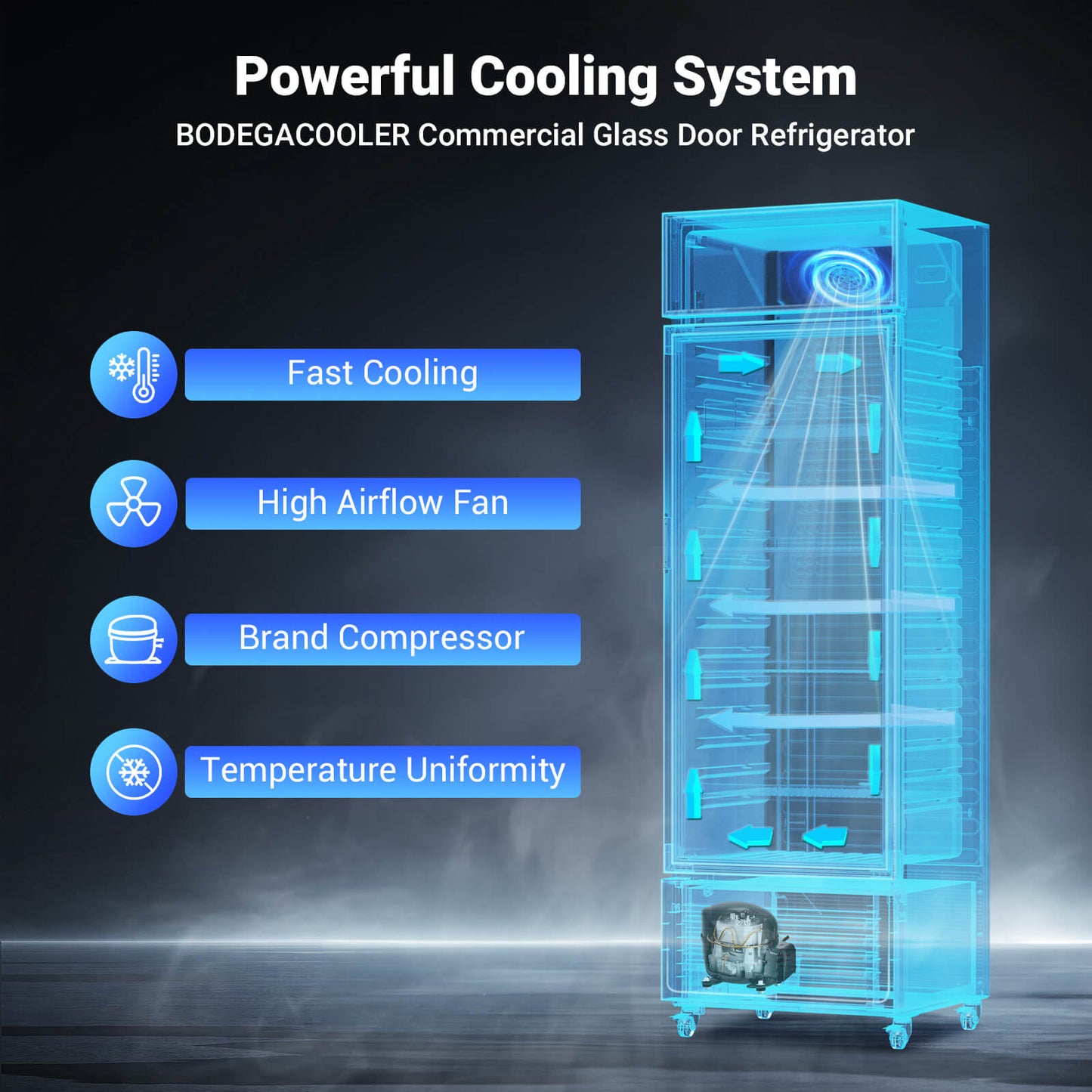 BODEGAcooler Commercial Glass Door Display Refrigerator Merchandiser 9 cu.ft - UL-SS-P238WD