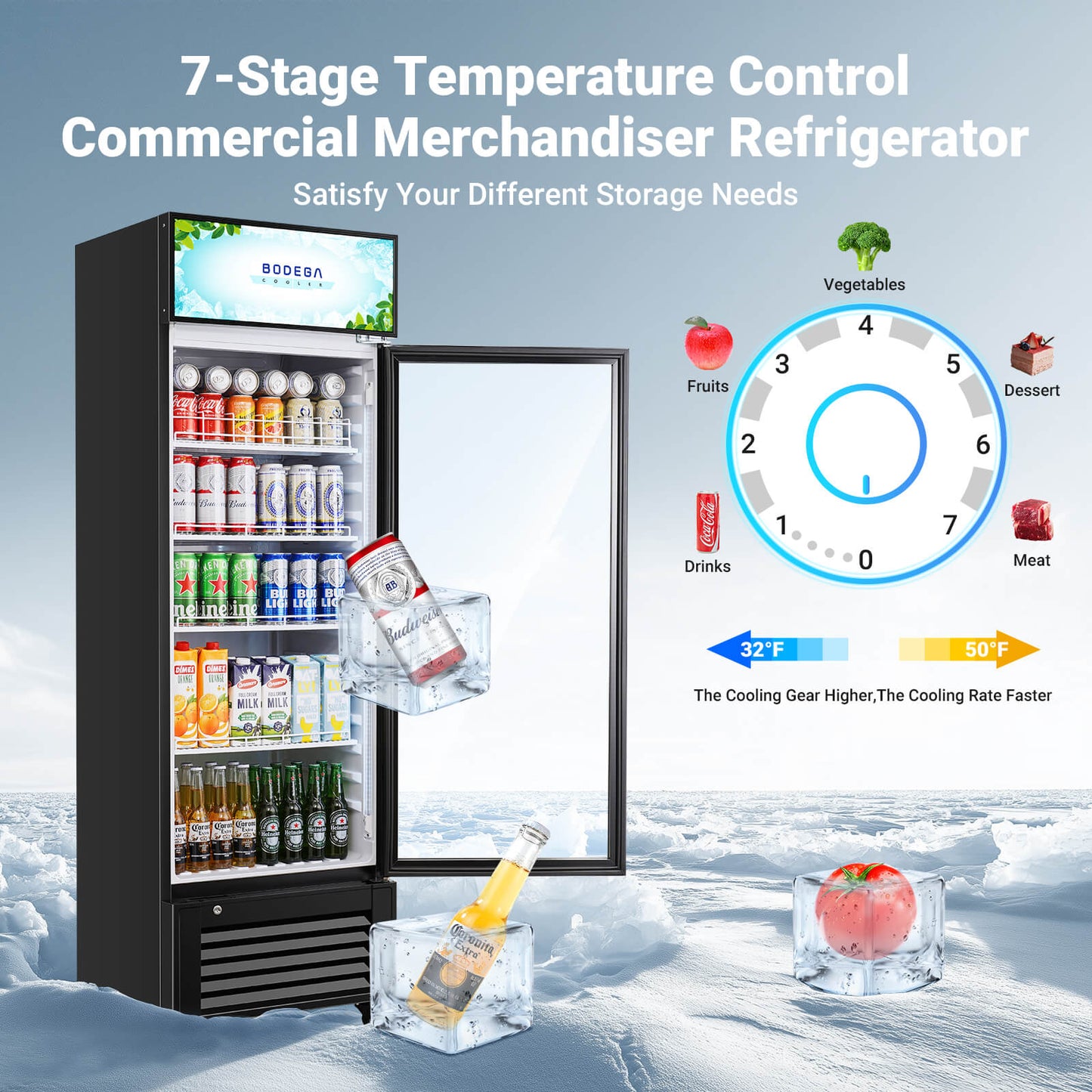 BODEGAcooler Commercial Glass Door Display Refrigerator Merchandiser 9 cu.ft - UL-SS-P238WD
