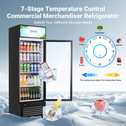 BODEGAcooler Commercial Glass Door Display Refrigerator Merchandiser 9 cu.ft - UL-SS-P238WD
