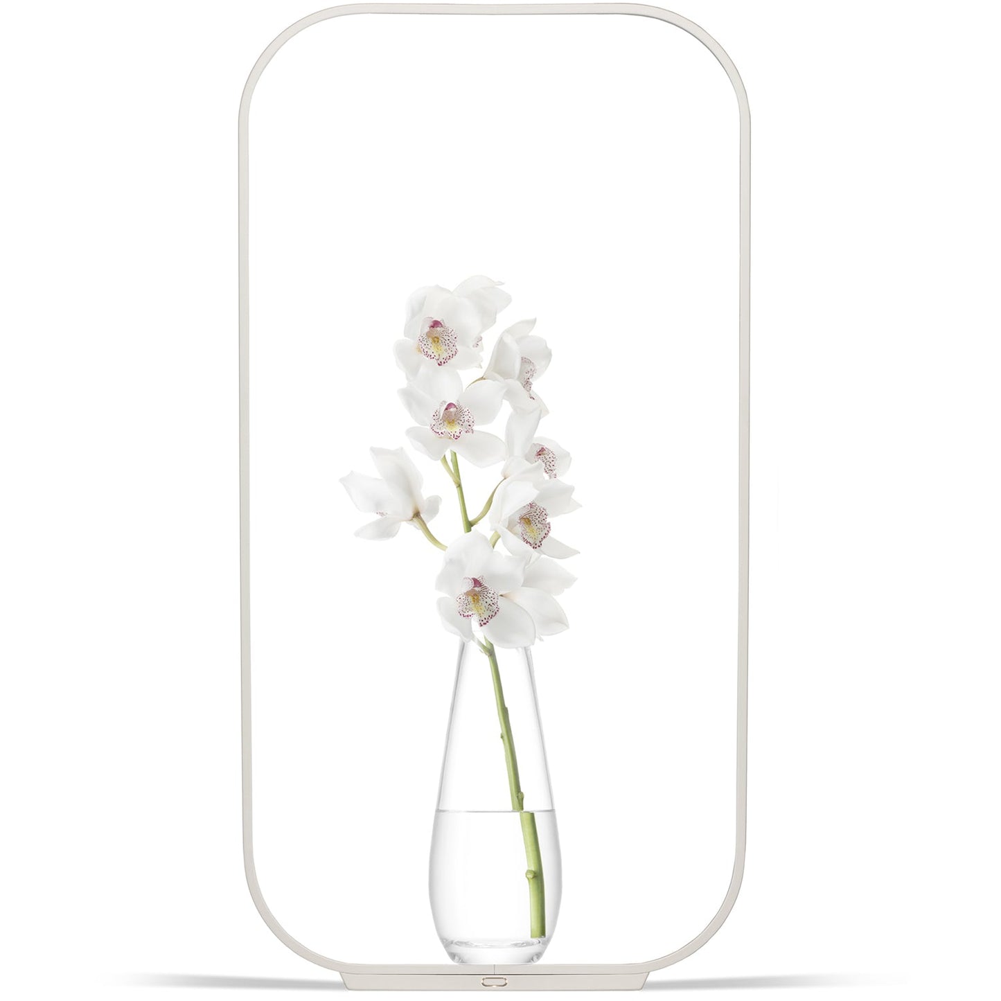 Pablo Designs Contour Table Lamp