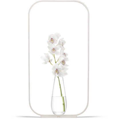 Pablo Designs Contour Table Lamp