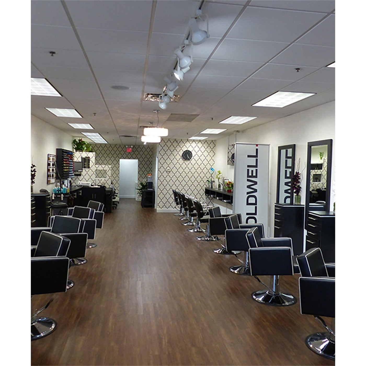 Pibbs Cosmo Styling Chair Pibbs - PIB-3406