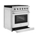 Empava 30GR10 30 In. Pro-Style Slide-in Single Oven Gas Range