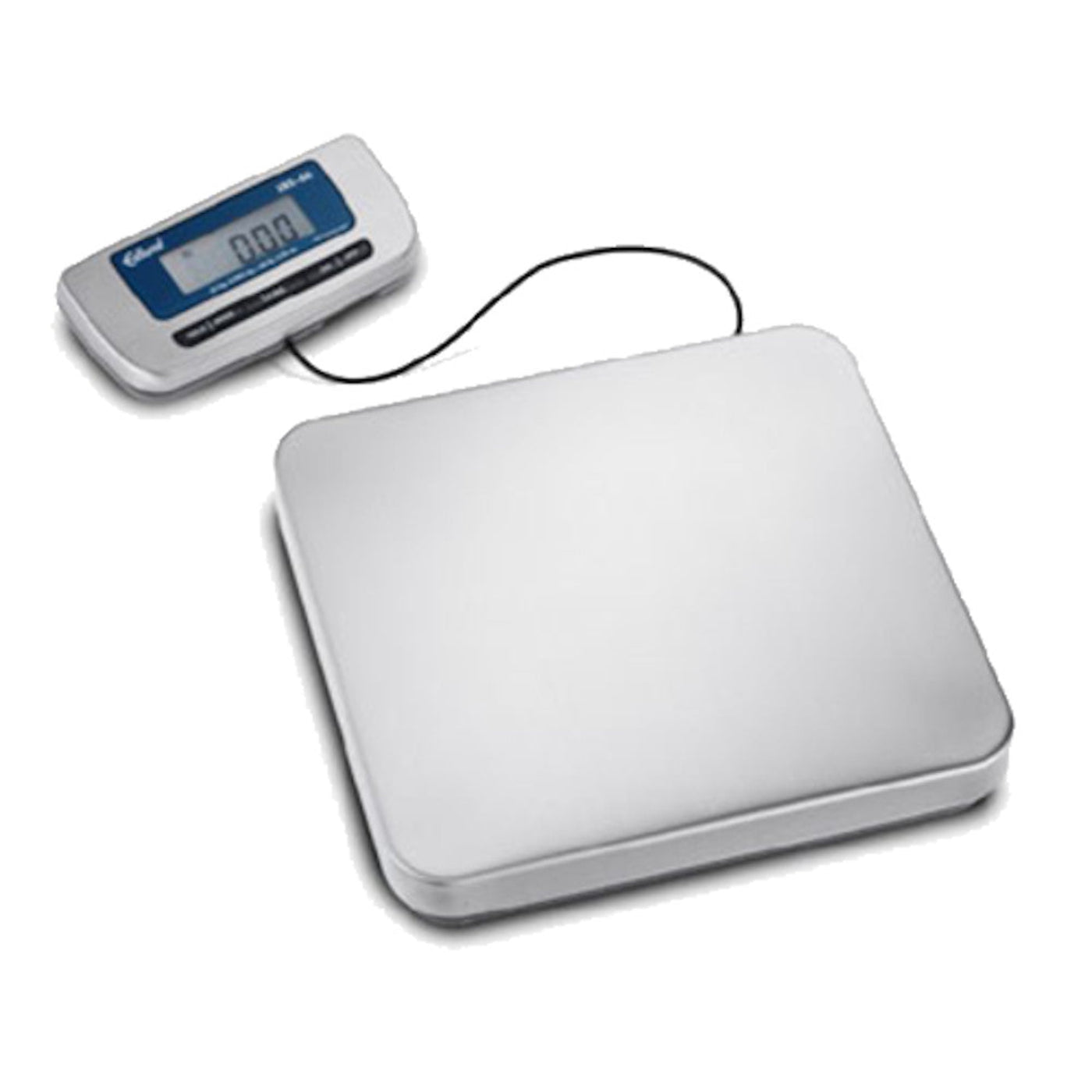 Edlund ERS-60 12" x 12-1/2" 60 lb Digital Receiving Scale - EDERS60