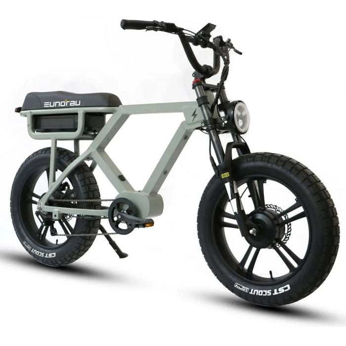 Eunorau Flash Dual Rider Long Distance Electric Bike