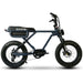 Eunorau Flash Dual Rider Long Distance Electric Bike