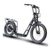 Eunorau Jumbo Direct Drive Low Step Motor Electric Scooter