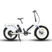 Eunorau Max Cargo Family/Delivery Utility Electric Bike