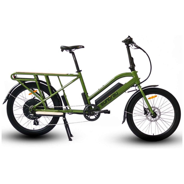 Eunorau Max Cargo Family/Delivery Utility Electric Bike