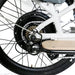 Eunorau Max Cargo Family/Delivery Utility Electric Bike