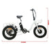 Eunorau New-Trike Folding Fat Tire Cargo Electric Tricycle