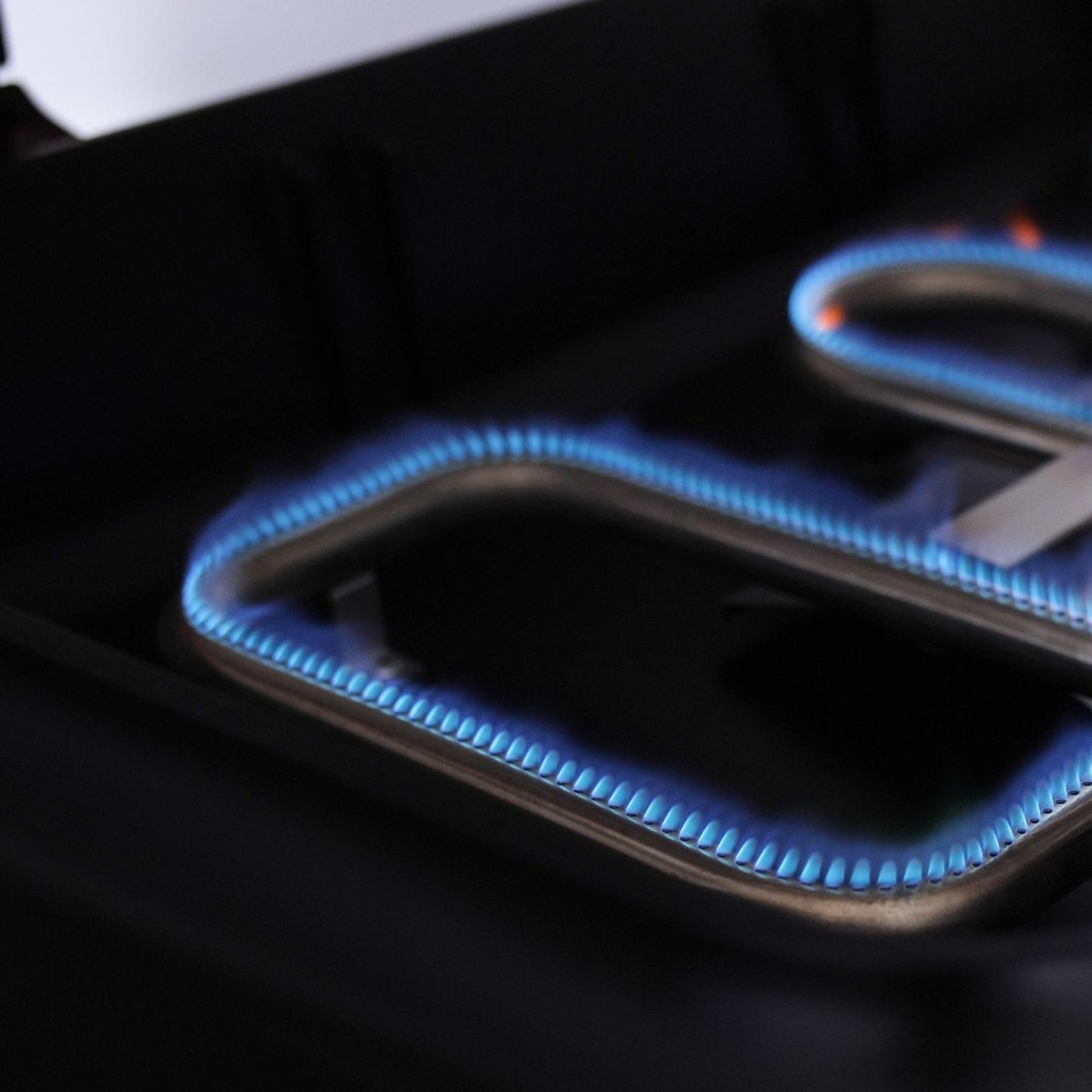 Everdure By Heston Blumenthal FORCE 48-Inch 2-Burner Propane Gas Grill With Stand  - G2MUS