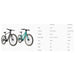 Fiido C21 36V/5.7Ah Gravel Step Over Electric Bike