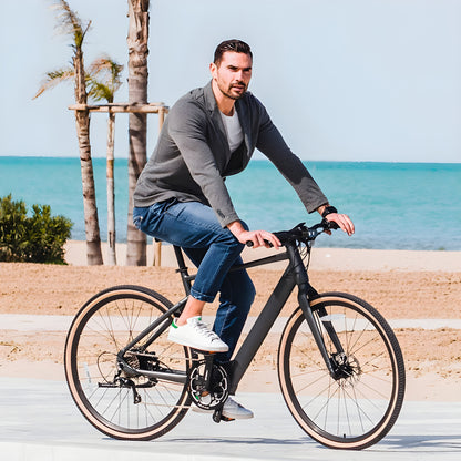 Fiido C21 36V/5.7Ah Gravel Step Over Electric Bike - THEY DO NOT DO DROPSHIPPING