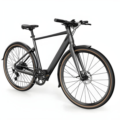 Fiido C21 36V/5.7Ah Gravel Step Over Electric Bike - THEY DO NOT DO DROPSHIPPING