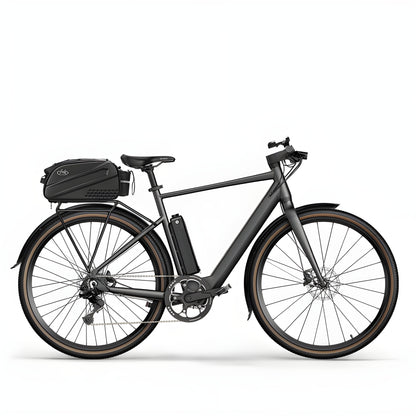 Fiido C21 36V/5.7Ah Gravel Step Over Electric Bike - THEY DO NOT DO DROPSHIPPING